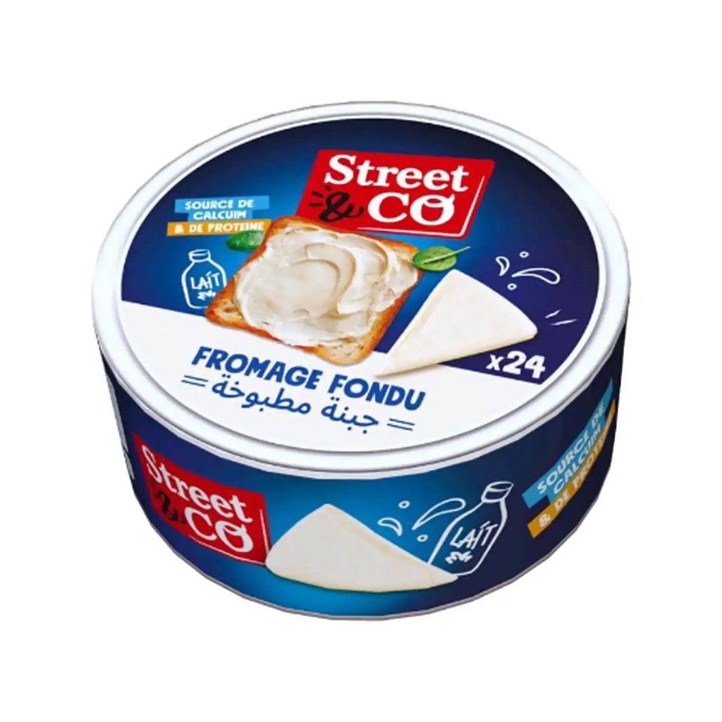 STREET AND CO 24P